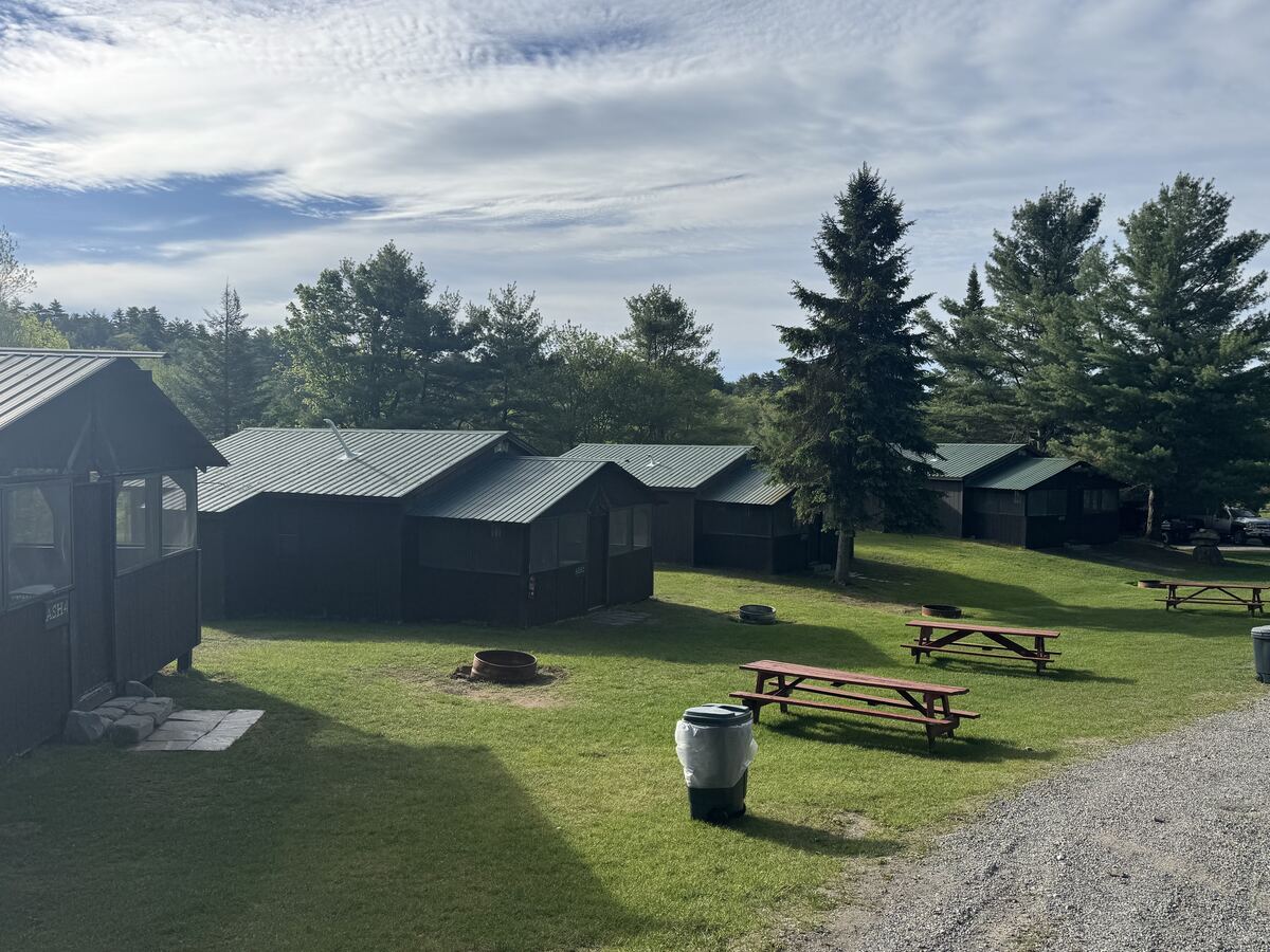 Ash cottages with green metal roofs, picnic tables and fire pits on the lawn among tall pines